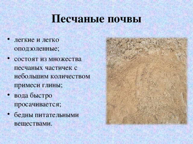Песчаные почвы