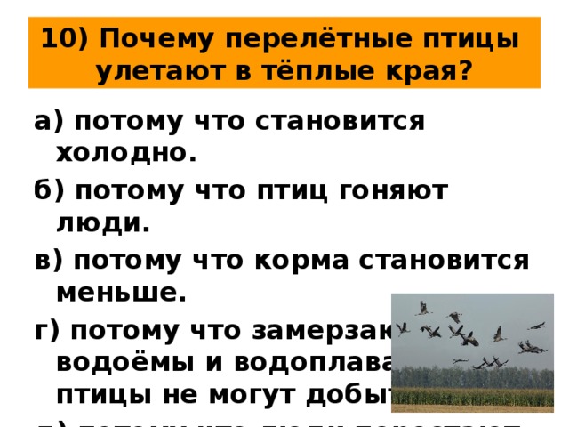 10) Почему перелётные птицы  улетают в тёплые края? а) потому что становится холодно. б) потому что птиц гоняют люди. в) потому что корма становится меньше. г) потому что замерзают водоёмы и водоплавающие птицы не могут добыть корм. д) потому что люди перестают интересоваться птицами. 