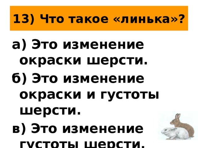 13) Что такое «линька»? а) Это изменение окраски шерсти. б) Это изменение окраски и густоты шерсти. в) Это изменение густоты шерсти. 