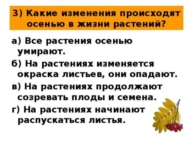 3) Какие изменения происходят осенью в жизни растений? а) Все растения осенью умирают. б) На растениях изменяется окраска листьев, они опадают. в) На растениях продолжают созревать плоды и семена. г) На растениях начинают распускаться листья. 