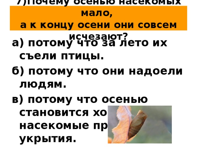 7)Почему осенью насекомых мало,  а к концу осени они совсем исчезают? а) потому что за лето их съели птицы. б) потому что они надоели людям. в) потому что осенью становится холодно и насекомые прячутся в укрытия. 