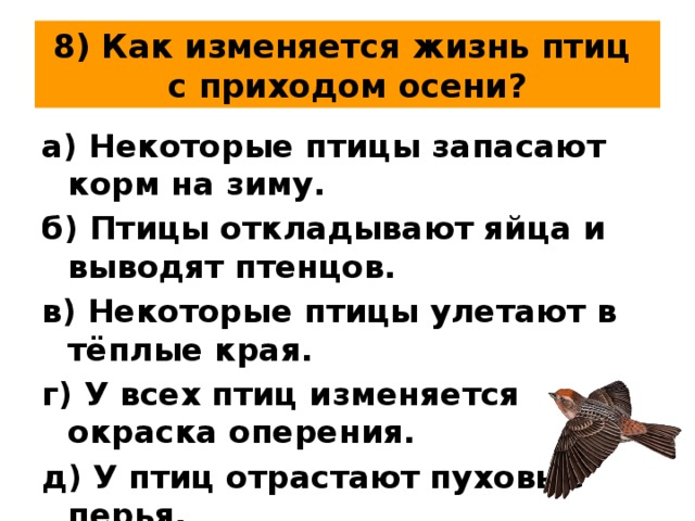 8) Как изменяется жизнь птиц  с приходом осени? а) Некоторые птицы запасают корм на зиму. б) Птицы откладывают яйца и выводят птенцов. в) Некоторые птицы улетают в тёплые края. г) У всех птиц изменяется окраска оперения. д) У птиц отрастают пуховые перья. 
