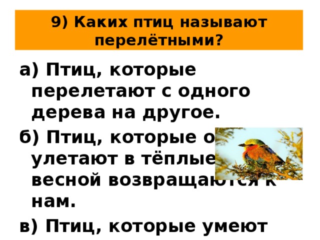9) Каких птиц называют перелётными? а) Птиц, которые перелетают с одного дерева на другое. б) Птиц, которые осенью улетают в тёплые края, а весной возвращаются к нам. в) Птиц, которые умеют хорошо летать. 