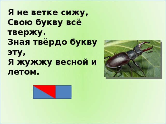 Я не ветке сижу, Свою букву всё твержу. Зная твёрдо букву эту, Я жужжу весной и летом.