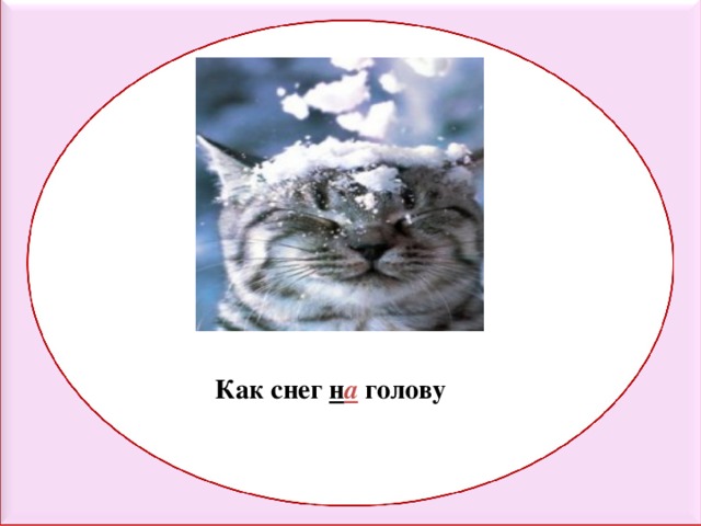 Как снег н а голову 
