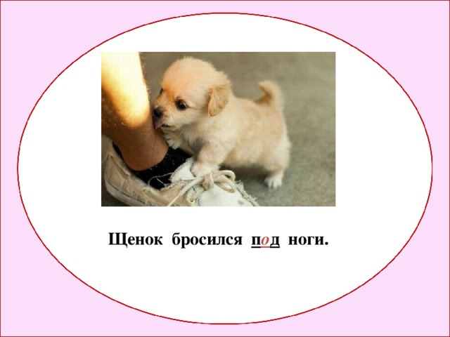Щенок бросился п о д ноги. 