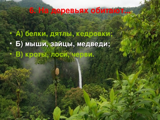 6.  На деревьях обитают...   А) белки, дятлы, кедровки; Б) мыши, зайцы, медведи; В) кроты, лоси, черви.  