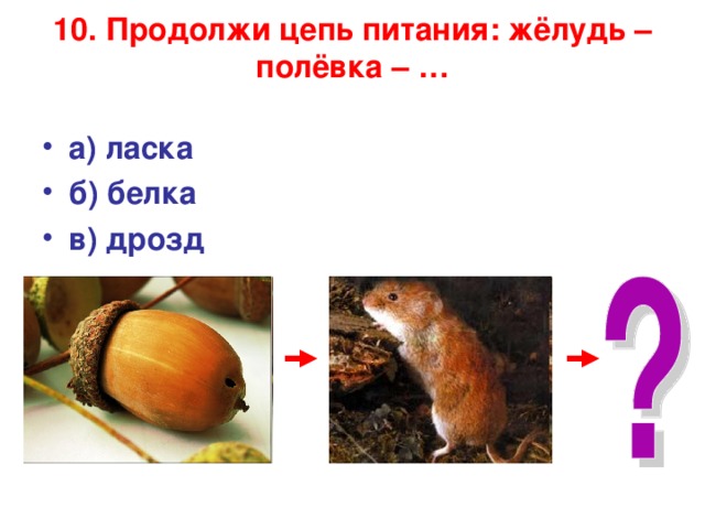 10. Продолжи цепь питания: жёлудь – полёвка – …   а) ласка б) белка в) дрозд   