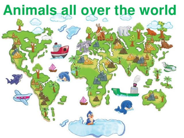 Animals all over the world 