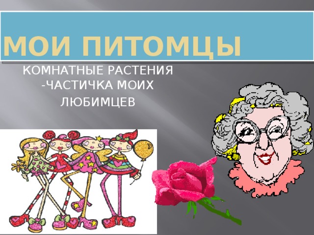 Мои питомцы КОМНАТНЫЕ РАСТЕНИЯ -ЧАСТИЧКА МОИХ ЛЮБИМЦЕВ 