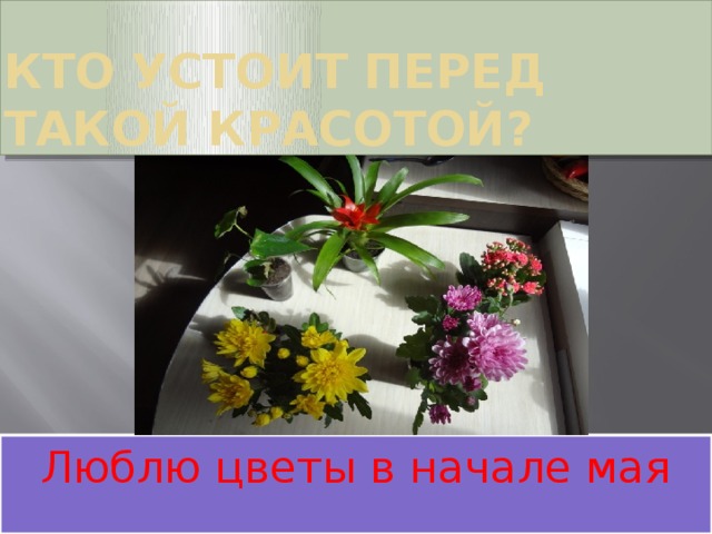 Кто устоит перед такой красотой? Люблю цветы в начале мая 