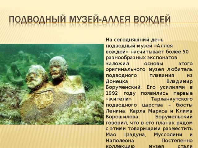 На сегодняшний день подводный музей «Аллея вождей» насчитывает более 50 разнообразных экспонатов Заложил основы этого оригинального музея любитель подводного плавания из Донецка Владимир Боруменский. Его усилиями в 1992 году появились первые «жители» Тарханкутского подводного царства – бюсты Ленина, Карла Маркса и Клима Ворошилова. Борумельский говорил, что в его планах рядом с этими товарищами разместить Мао Цзэдуна, Муссолини и Наполеона. Постепенно коллекцию музея стали дополнять энтузиасты-ныряльщики из других городов. 