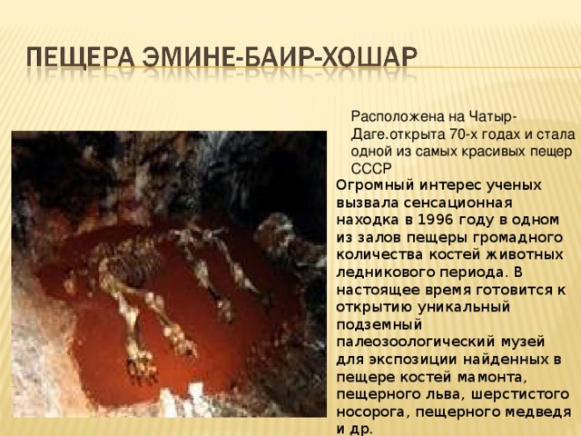 Расположена на Чатыр-Даге.открыта 70-х годах и стала одной из самых красивых пещер СССР Огромный интерес ученых вызвала сенсационная находка в 1996 году в одном из залов пещеры громадного количества костей животных ледникового периода. В настоящее время готовится к открытию уникальный подземный палеозоологический музей для экспозиции найденных в пещере костей мамонта, пещерного льва, шерстистого носорога, пещерного медведя и др. 