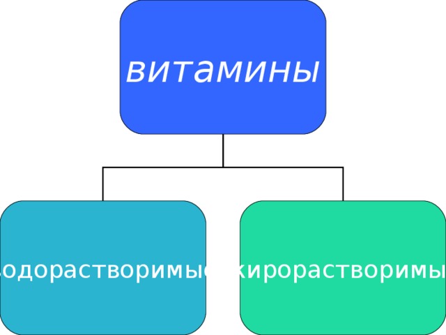 витамины водорастворимые жирорастворимые 
