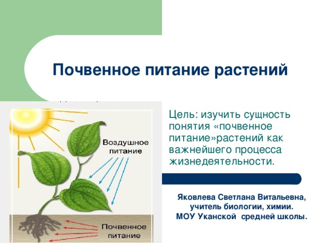 Почвенное питание растений Цель: изучить сущность понятия «почвенное питание»растений как важнейшего процесса жизнедеятельности. Яковлева Светлана Витальевна, учитель биологии, химии. МОУ Уканской средней школы. 