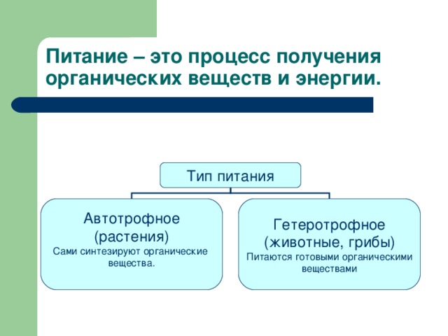 Питание – это процесс получения органических веществ и энергии. Тип питания Автотрофное (растения) Сами синтезируют органические вещества. Гетеротрофное (животные, грибы) Питаются готовыми органическими веществами 