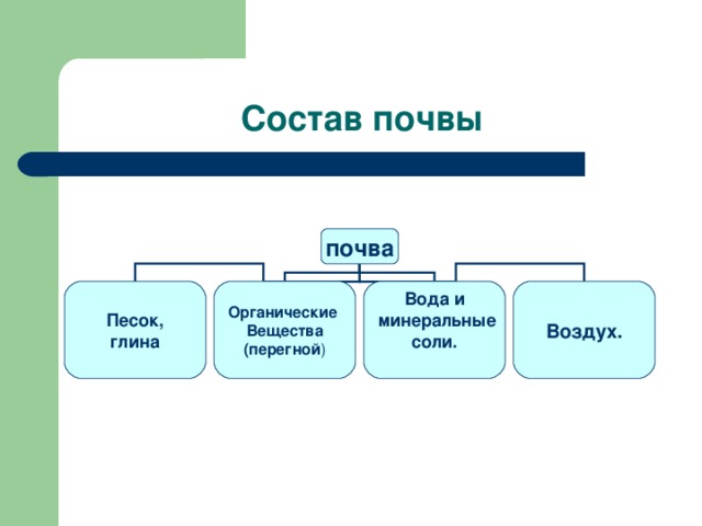 Состав почвы почва Песок, глина Органические Вещества (перегной ) Вода и  минеральные соли.  Воздух. 