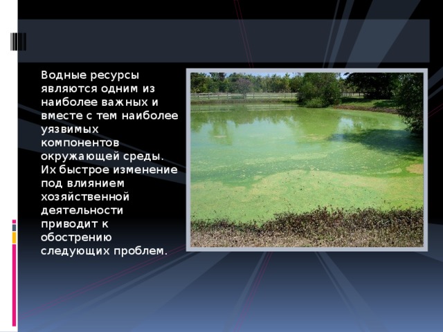 Водные ресурсы являются одним из наиболее важных и вместе с тем наиболее уязвимых компонентов окружающей среды. Их быстрое изменение под влиянием хозяйственной деятельности приводит к обострению следующих проблем. 
