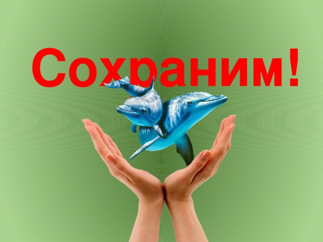 Сохраним! 