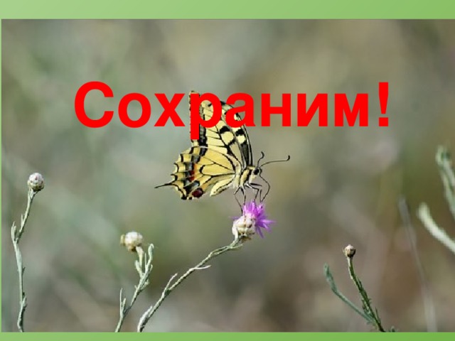 Сохраним! 