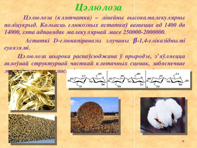 Цэлюлоза  Цэлюлоза (клятчатка) – лінейны высокамалекулярны поліцукрыд. Кольасць глюкозных астаткаў вагаецца ад 1400 да 14000, гэта адпавядае малекулярнай масе 250000-2000000.  Астаткі D-глюкапіраназы злучаны β-1,4-гліказіднымі сувязямі.  Цэлюлоза шырока распаўсюджана ў прыродзе, з’яўляецца галоўнай структурнай часткай клетачных сценак, забяспечвае механічную трываласць і эластычнасць тканак раслін. 