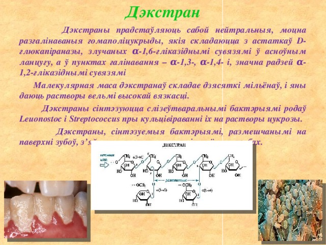 Дэкстран  Дэкстраны прадстаўляюць сабой нейтральныя, моцна разгалінаваныя гомаполіцукрыды, якія складаюцца з астаткаў D-глюкапіраназы, злучаных α-1,6-гліказіднымі сувязямі ў асноўным ланцугу, а ў пунктах галінавання – α-1,3-, α-1,4- і, значна радзей α-1,2-гліказіднымі сувязямі  Малекулярная маса дэкстранаў складае дзясяткі мільёнаў, і яны даюць растворы вельмі высокай вязкасці.  Дэкстраны сінтэзуюцца слізеўтваральнымі бактэрыямі родаў Leuonostoc і Streptococcus пры кульцівіраванні іх на растворы цукрозы.  Дэкстраны, сінтэзуемыя бактэрыямі, размешчанымі на паверхні зубоў, з’яўляюцца кампанентамі налёта на зубах. 