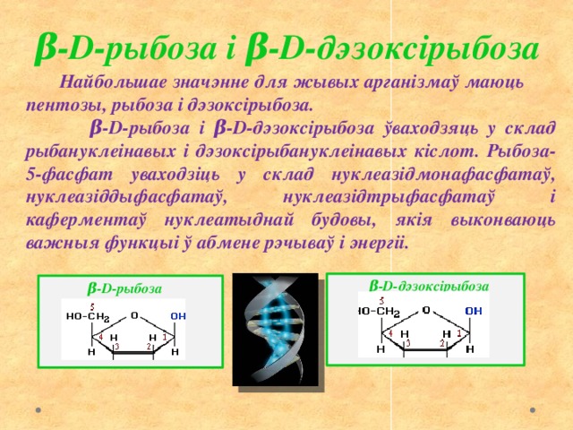 β-D-рыбоза і β-D-дэзоксірыбоза  Найбольшае значэнне для жывых арганізмаў маюць пентозы, рыбоза і дэзоксірыбоза.  β-D-рыбоза і β-D-дэзоксірыбоза ўваходзяць у склад рыбануклеінавых і дэзоксірыбануклеінавых кіслот. Рыбоза-5-фасфат уваходзіць у склад нуклеазідмонафасфатаў, нуклеазіддыфасфатаў, нуклеазідтрыфасфатаў і каферментаў нуклеатыднай будовы, якія выконваюць важныя функцыі ў абмене рэчываў і энергіі.  β-D-дэзоксірыбоза     β-D-рыбоза    