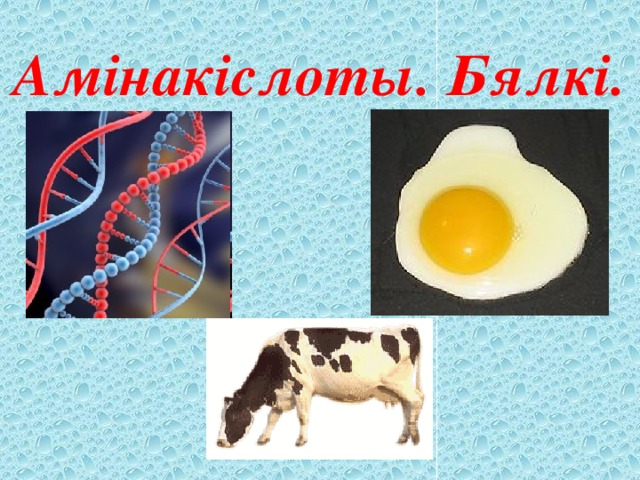 Амінакіслоты.  Бялкі. 