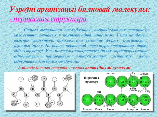 Узроўні арганізацыі бялковай малекулы:  - першасная структура  Строга вызначаная паслядоўнасць амінакіслотных астаткаў, кавалентна злучаных у поліпептыдны ланцужок. Гэта найбольш важная структура, паколькі яна вызначае форму, уласцівасці і функцыі бялку. На аснове першаснай структуры ствараюцца іншыя віды структур. Усе малекулы канкрэтнага бялку характарызуюцца аднолькавым чаргаваннем амінакіслотных астаткаў, якое адрознівае адзін бялок ад другога.  Амінакіслотныя астаткі злучаны пептыднымі сувязямі . 