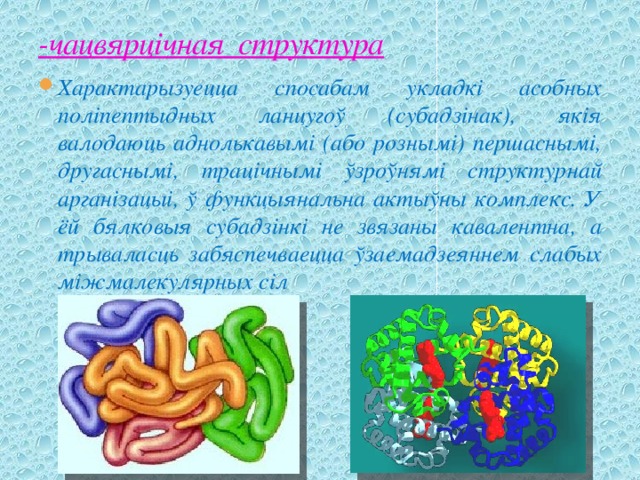 -чацвярцічная структура Характарызуецца спосабам укладкі асобных поліпептыдных ланцугоў (субадзінак), якія валодаюць аднолькавымі (або рознымі) першаснымі, другаснымі, трацічнымі ўзроўнямі структурнай арганізацыі, ў функцыянальна актыўны комплекс. У ёй бялковыя субадзінкі не звязаны кавалентна, а трываласць забяспечваецца ўзаемадзеяннем слабых міжмалекулярных сіл 