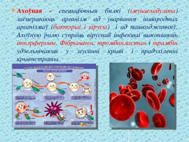 Ахоўная - спецыфічныя бялкі ( імунаглабуліны ) засцерагаюць арганізм ад уварвання іншародных арганізмаў ( бактэрыі і вірусы ) і ад пашкоджанняў. Ахоўную ролю супраць віруснай інфекцыі выконваюць інтэрфероны . Фібрынаген , тромбапластын і трамбін удзельнічаюць у згусанні крыві і прадухіленні крывястраты. 
