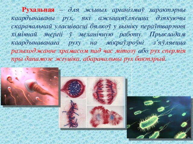  Рухальная – для жывых арганізмаў характэрны каардынаваны рух, які ажыццяўляецца дзякуючы скарачальнай уласцівасці бялкоў у выніку пераўтварэння хімічнай энергіі ў механічную работу. Прыкладам каардынаванага руху на мікраўзроўні з’яўляецца разыходжанне храмасом пад час мітозу або рух спермія пры дапамозе жгуціка , абарачальны рух бактэрый . 
