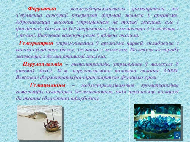  Феррытын – жалезаўтрымліваючы хромапратэін, які з’яўляецца асноўнай рэзервовай формай жалеза ў арганізме. Адрозніваецца высокім утрыманнем не толькі жалеза, але і фасфатаў. Больш за ўсё феррытыну ўтрымліваецца ў селязёнцы і ў печані. Выконвае важную ролю ў абмене жалеза.  Гемэрытрын утрымліваецца ў арганізме чарвей, складаецца з васьмі субадзінак бялку, злучаных з жалезам. Малекула кіслароду звязваецца з двумя атамамі жалеза.  Цэрулаплазмін – металапратэін, утрымлівае ў малекуле 8 атамаў медзі. М.м. цэрулаплазміна чалавека складае 32000. Выконвае ферментатыўна-транспартную функцыю крові.  Гемацыяніны – медзьутрымліваючыя хромапратэіны гемалімфы некаторых беспазваночных, якія пераносяць кісларод да тканак (блакітная афарбоўка). 