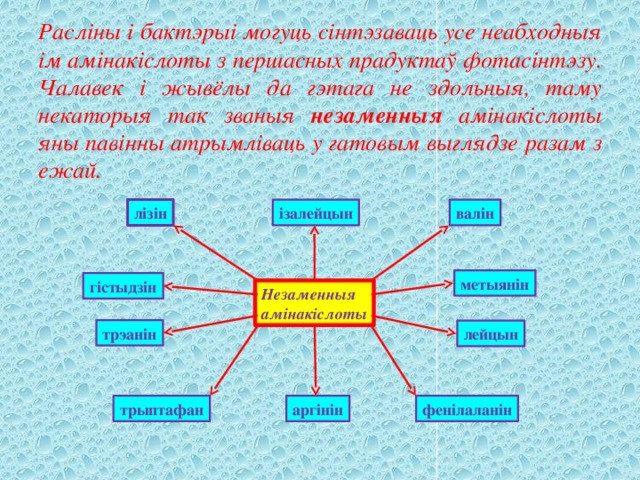 Расліны і бактэрыі могуць сінтэзаваць усе неабходныя ім амінакіслоты з першасных прадуктаў фотасінтэзу. Чалавек і жывёлы да гэтага не здольныя, таму некаторыя так званыя незаменныя амінакіслоты яны павінны атрымліваць у гатовым выглядзе разам з ежай.  лізін валін ізалейцын метыянін гістыдзін Незаменныя амінакіслоты трэанін лейцын трыптафан фенілаланін аргінін 