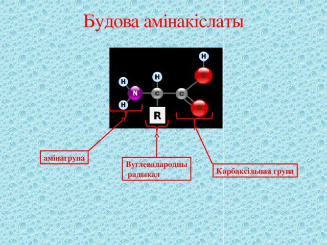 Будова амінакіслаты амінагрупа Вуглевадародны  радыкал Карбаксільная група 