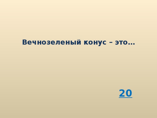 Вечнозеленый конус – это… 20