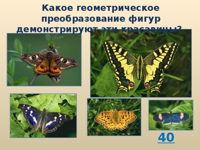 Какое геометрическое преобразование фигур демонстрируют эти красавицы? 40