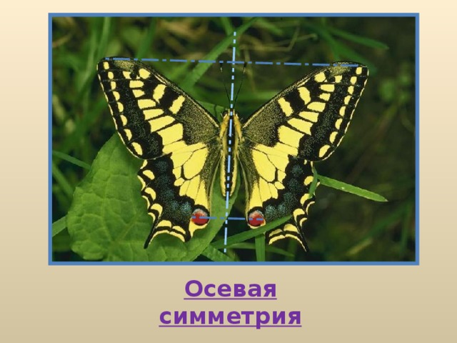 Осевая симметрия