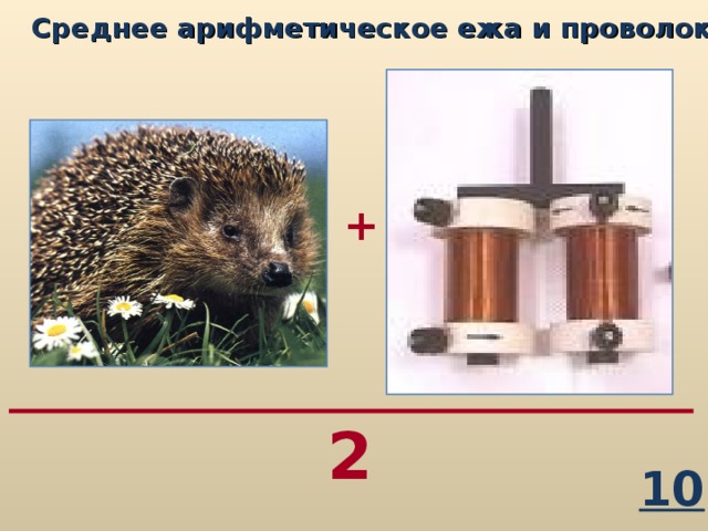 Среднее арифметическое ежа и проволоки...   + 2 10