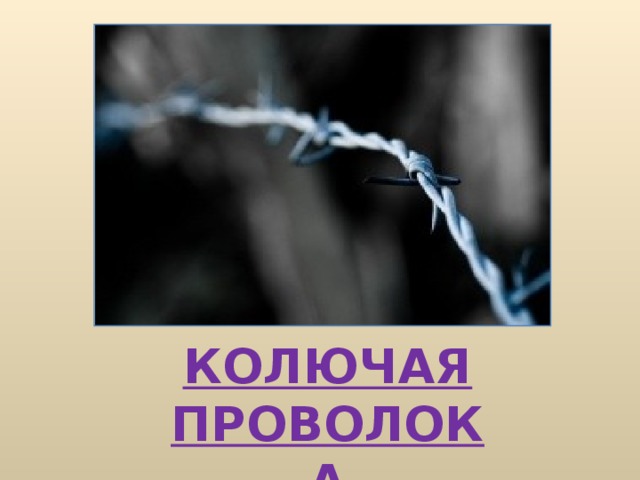 КОЛЮЧАЯ ПРОВОЛОКА