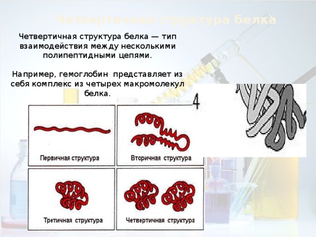 Четвертичная структура белка Четвертичная структура белка — тип взаимодействия между несколькими полипептидными цепями. Например, гемоглобин представляет из себя комплекс из четырех макромолекул белка. 