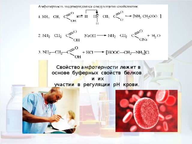  Свойство а мфотерности лежит в основе буферных свойств белков и их участии в регуляции рН крови. 