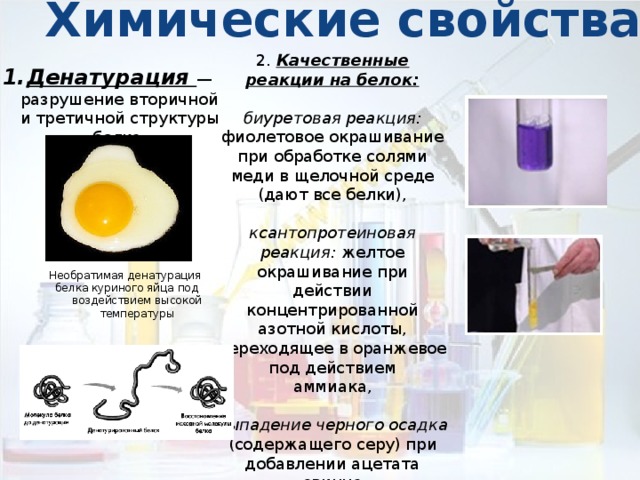 Химические свойства  2. Качественные реакции на белок: биуретовая реакция: фиолетовое окрашивание при обработке солями меди в щелочной среде (дают все белки), ксантопротеиновая реакция: желтое окрашивание при действии концентрированной азотной кислоты, переходящее в оранжевое под действием аммиака, выпадение черного осадка (содержащего серу) при добавлении ацетата свинца (II), гидроксида натрия и нагревании. Денатурация — разрушение вторичной и третичной структуры белка. Необратимая денатурация  белка куриного яйца под воздействием высокой температуры 