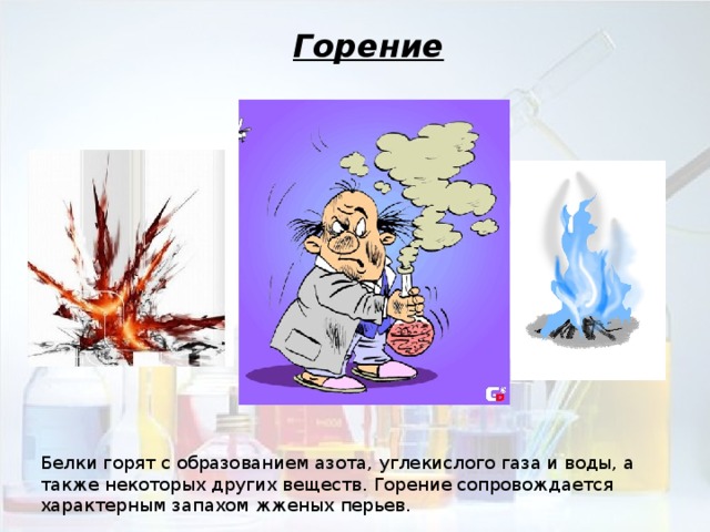 Горение Белки горят с образованием азота, углекислого газа и воды, а также некоторых других веществ. Горение сопровождается характерным запахом жженых перьев. 