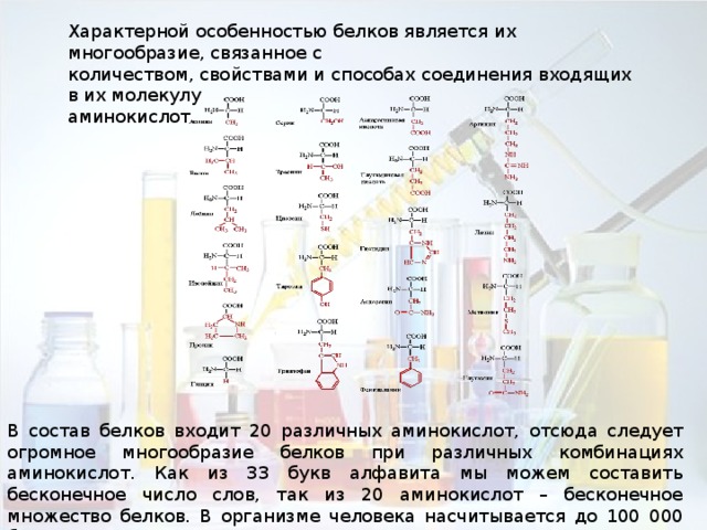 Характерной особенностью белков является их многообразие, связанное с количеством, свойствами и способах соединения входящих в их молекулу аминокислот. В состав белков входит 20 различных аминокислот, отсюда следует огромное многообразие белков при различных комбинациях аминокислот. Как из 33 букв алфавита мы можем составить бесконечное число слов, так из 20 аминокислот – бесконечное множество белков. В организме человека насчитывается до 100 000 белков. 