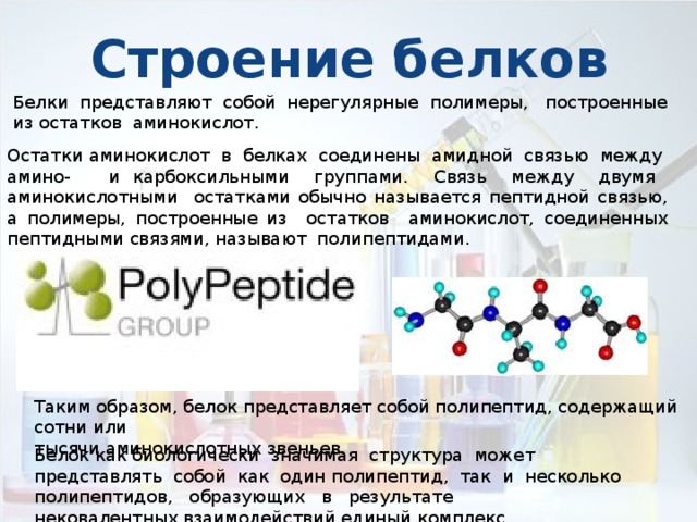 Строение белков  Белки представляют собой нерегулярные полимеры, построенные из остатков аминокислот. Остатки аминокислот в белках соединены амидной связью между амино- и карбоксильными группами. Связь между двумя аминокислотными остатками обычно называется пептидной связью, а полимеры, построенные из остатков аминокислот, соединенных пептидными связями, называют полипептидами. Таким образом, белок представляет собой полипептид, содержащий сотни или тысячи аминокислотных звеньев. Белок как биологически значимая структура может представлять собой как один полипептид, так и несколько полипептидов, образующих в результате нековалентных взаимодействий единый комплекс. 
