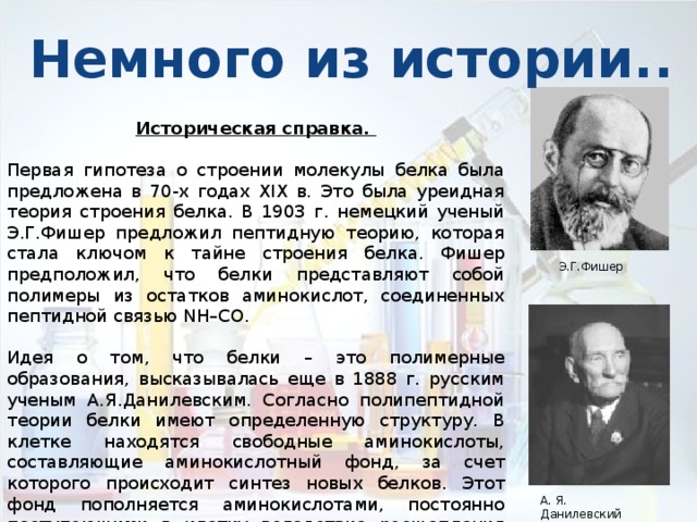 Немного из истории.. Историческая справка. Первая гипотеза о строении молекулы белка была предложена в 70-х годах XIX в. Это была уреидная теория строения белка. В 1903 г. немецкий ученый Э.Г.Фишер предложил пептидную теорию, которая стала ключом к тайне строения белка. Фишер предположил, что белки представляют собой полимеры из остатков аминокислот, соединенных пептидной связью NH–CO. Идея о том, что белки – это полимерные образования, высказывалась еще в 1888 г. русским ученым А.Я.Данилевским. Согласно полипептидной теории белки имеют определенную структуру. В клетке находятся свободные аминокислоты, составляющие аминокислотный фонд, за счет которого происходит синтез новых белков. Этот фонд пополняется аминокислотами, постоянно поступающими в клетку вследствие расщепления белков пищи пищеварительными ферментами или собственных запасных белков. Э.Г.Фишер А. Я. Данилевский 