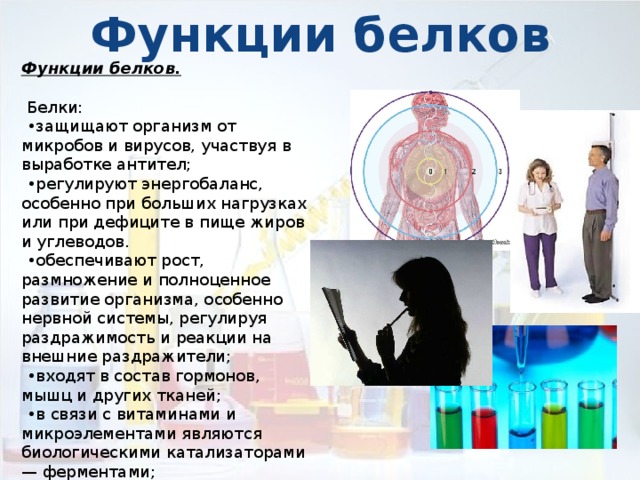 Функции белков Функции белков.  Белки: • защищают организм от микробов и вирусов, участвуя в выработке антител; • регулируют энергобаланс, особенно при больших нагрузках или при дефиците в пище жиров и углеводов. • обеспечивают рост, размножение и полноценное развитие организма, особенно нервной системы, регулируя раздражимость и реакции на внешние раздражители; • входят в состав гормонов, мышц и других тканей; • в связи с витаминами и микроэлементами являются биологическими катализаторами — ферментами; • формируют способность высшей формы движения материи — мышление; 