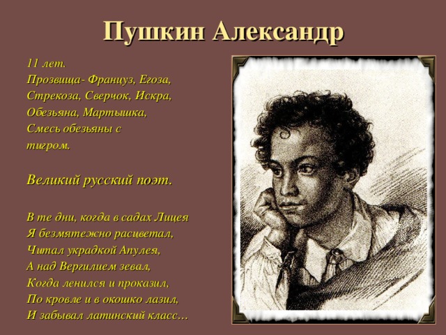 Пушкин Александр 11 лет. Прозвища- Француз, Егоза, Стрекоза, Сверчок, Искра, Обезьяна, Мартышка, Смесь обезьяны с тигром.  Великий русский поэт.  В те дни, когда в садах Лицея Я безмятежно расцветал, Читал украдкой Апулея, А над Вергилием зевал, Когда ленился и проказил, По кровле и в окошко лазил, И забывал латинский класс… 