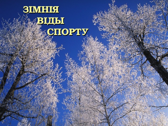  ЗІМНІЯ  ВІДЫ   СПОРТУ 